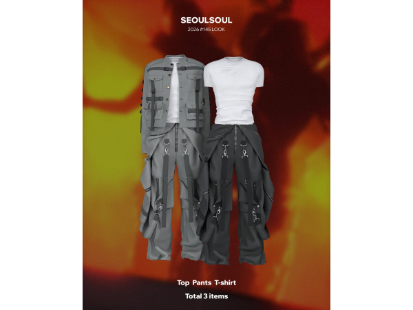 Alpha SIMS4 // 2026 #145 soul by seoul - The Sims 4 custom content