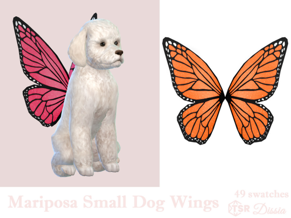 Mariposa Small Dog Wings by Dissia