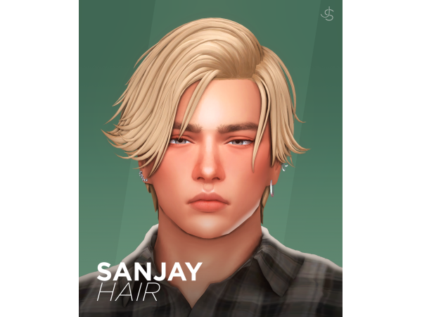 Sanjay Hair by johnnysims