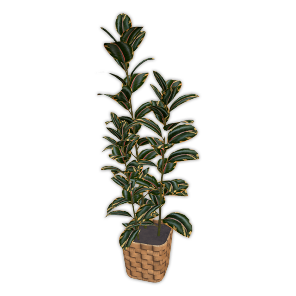 Maxis Match Comiko Living Modern Farm Ficus Plant by comiko - The Sims 4 Custom Content