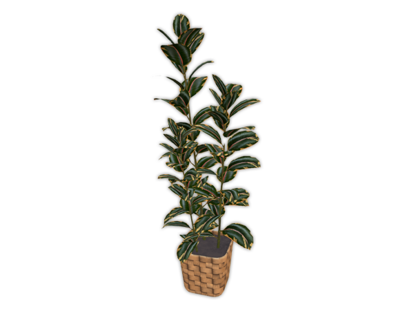 Maxis Match Comiko Living Modern Farm Ficus Plant - The Sims 4 Custom Content