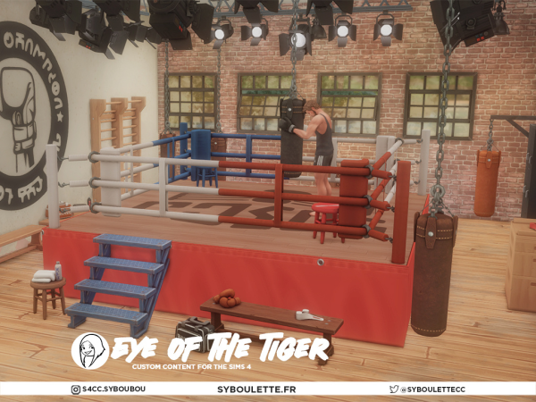 Maxis Match Eye of The Tiger set by Syboubou - The Sims 4 Custom Content