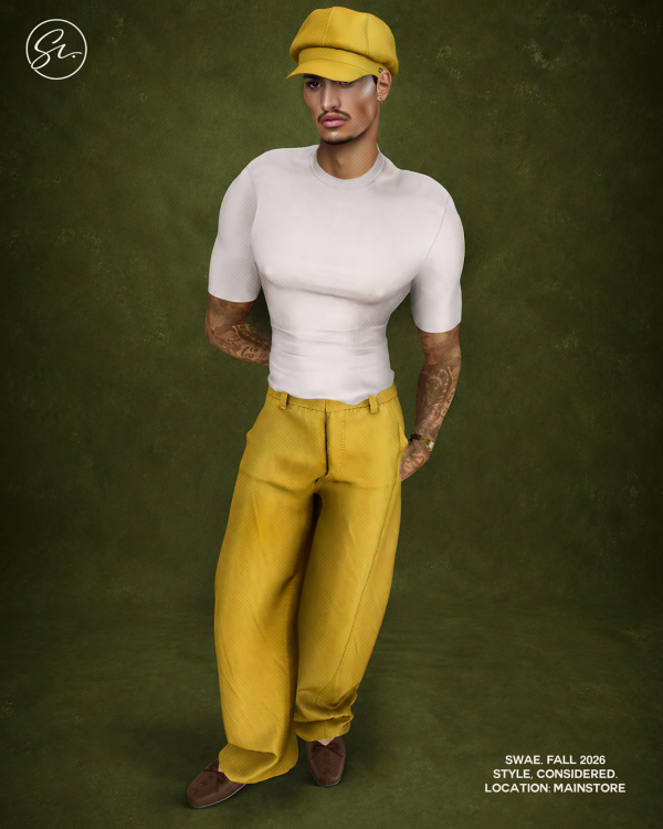 Alpha EBRAND B Day COLLECTION by simsfinds - The Sims 4 Custom Content