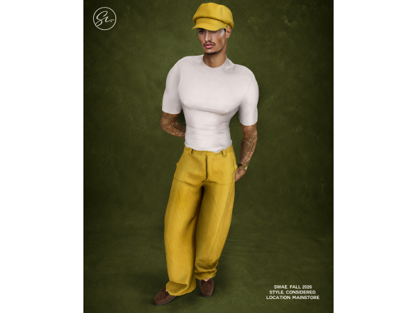 Alpha EBRAND B Day COLLECTION by HARDSWAE - The Sims 4 Custom Content