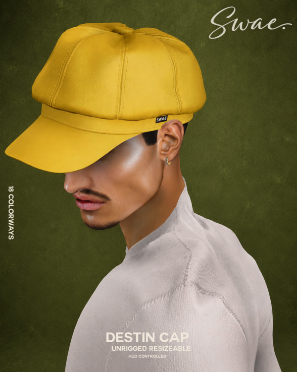 Alpha EBRAND B Day COLLECTION by simsfinds - The Sims 4 Custom Content