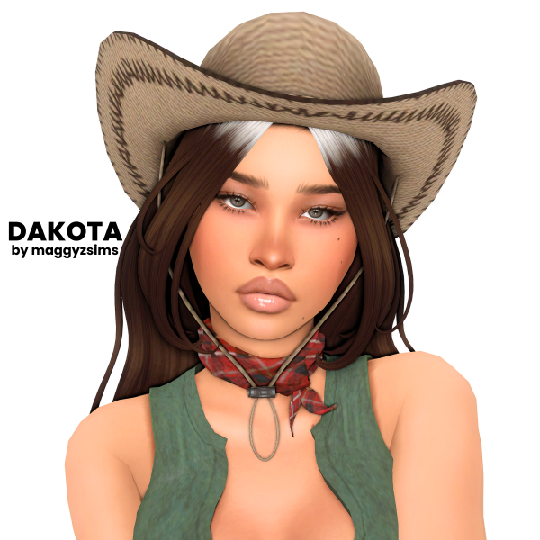 Mix Dakota by simsfinds - The Sims 4 Custom Content